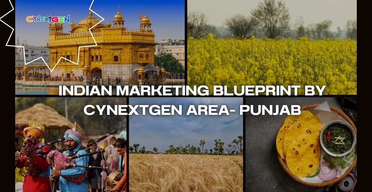 INDIAN MARKETING BLUEPRINT BY CYNEXTGEN AREA- PUNJAB