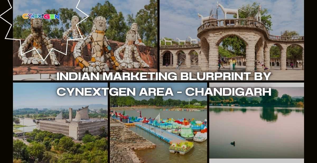 INDIAN MARKETING BLURPRINT BY CYNEXTGEN AREA – CHANDIGARH