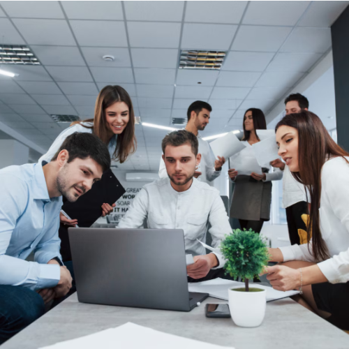 freelancers and consultants